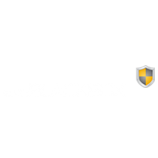 Auto Blackbox